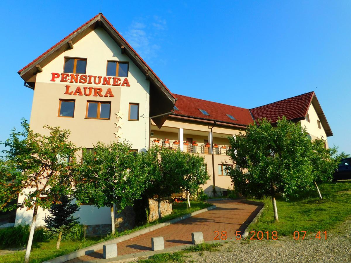 Pension Laura Cheile Turzii Petrestii de Jos Exterior photo